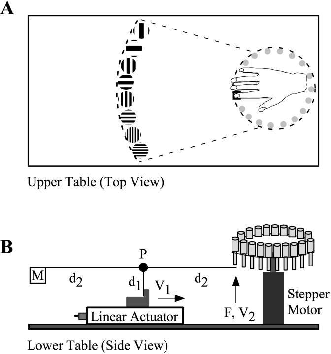 Fig. 1.