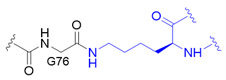 graphic file with name molecules-25-05200-i001.jpg