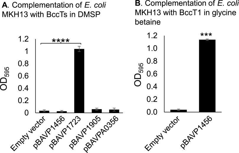 FIG 6