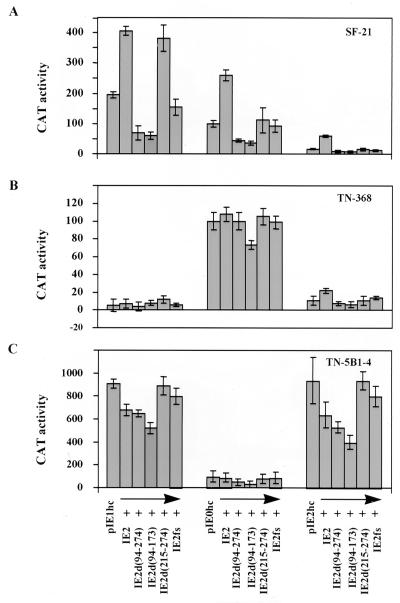 FIG. 7