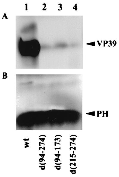 FIG. 8