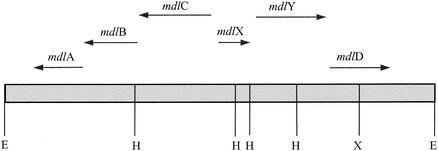 FIG. 2.