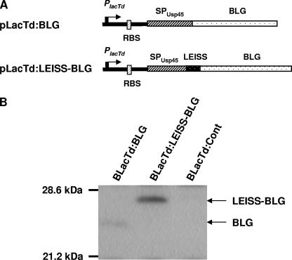 FIG. 2.