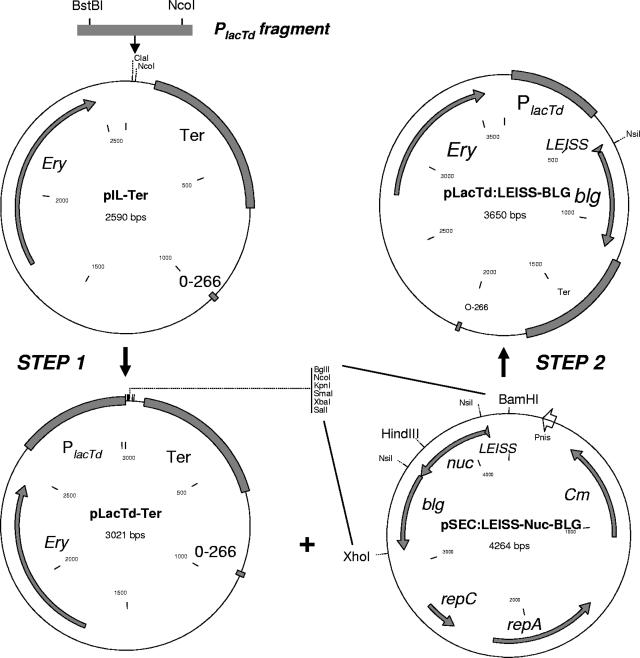 FIG. 1.