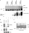 FIG. 8.