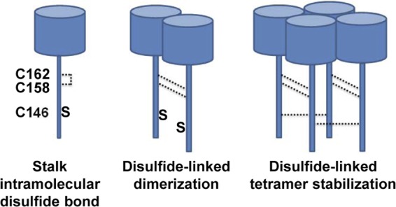 Fig 10