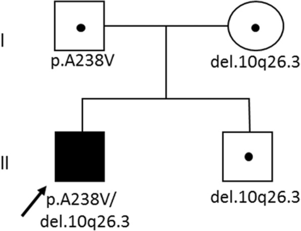 Fig. 1