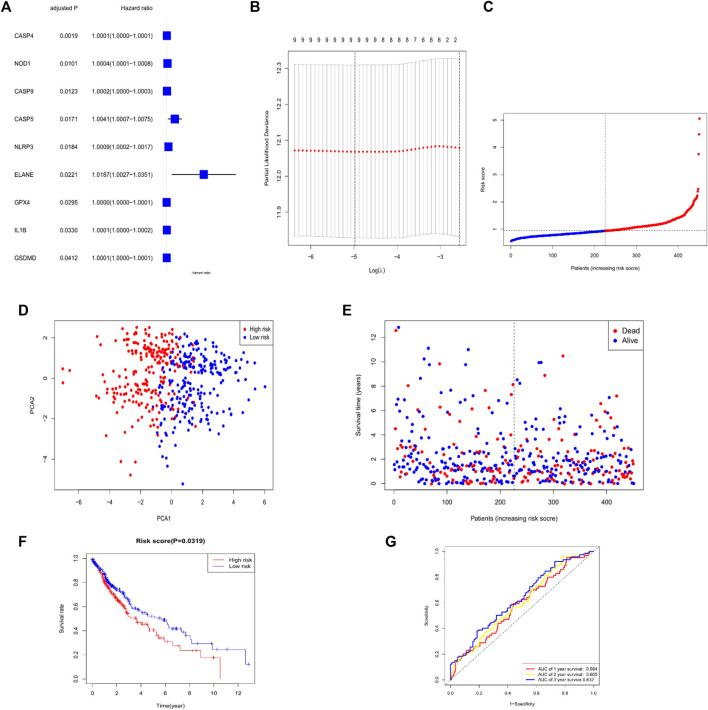 FIGURE 3