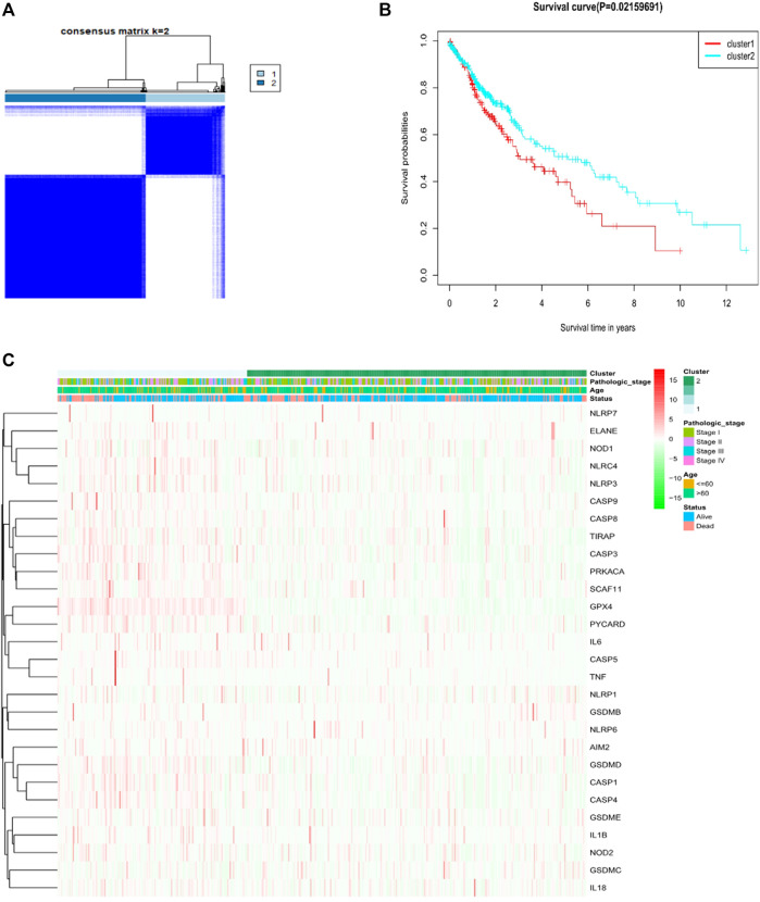 FIGURE 2