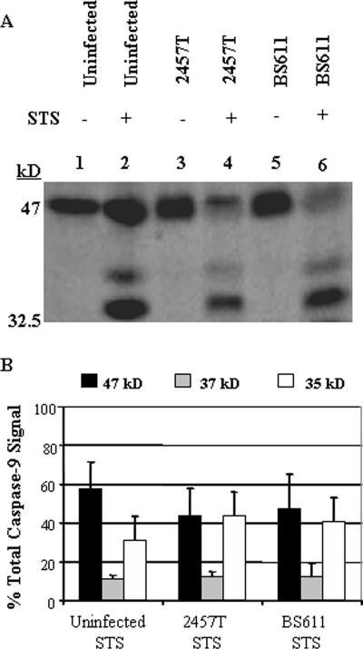 FIG. 5.