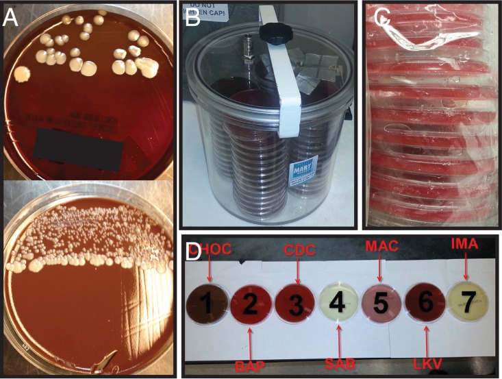 FIG 2