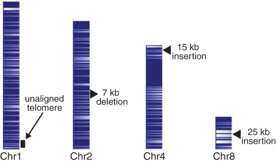 FIG 4