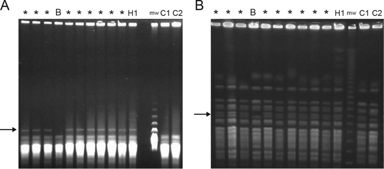 FIG 3