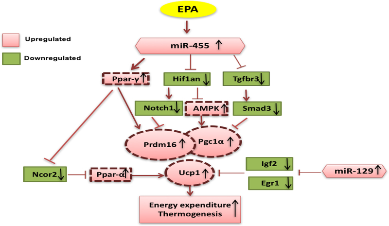 Fig 3.