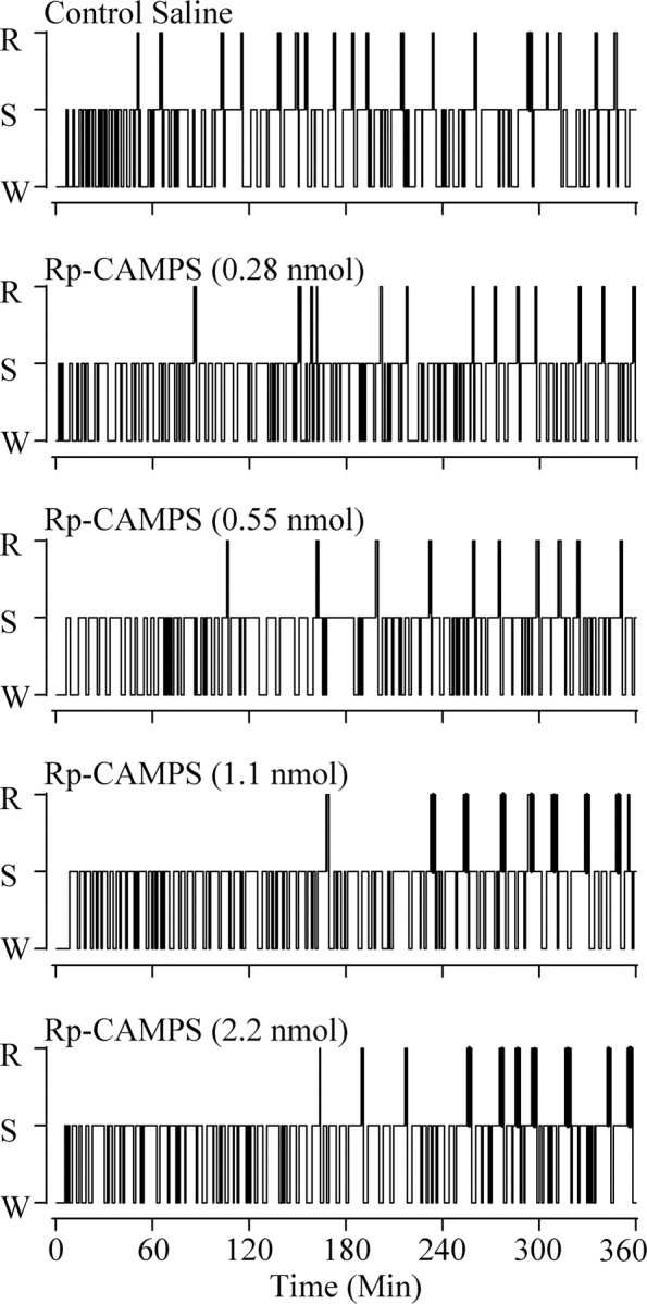 Figure 6.