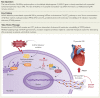 Structured Graphical Abstract