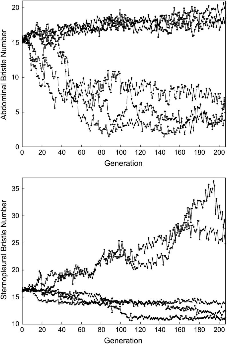 Figure 1.—