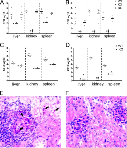 FIG. 6.