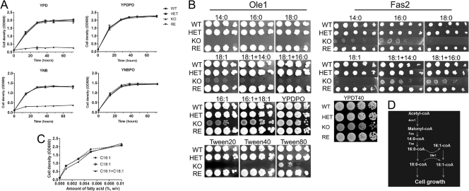 FIG. 2.