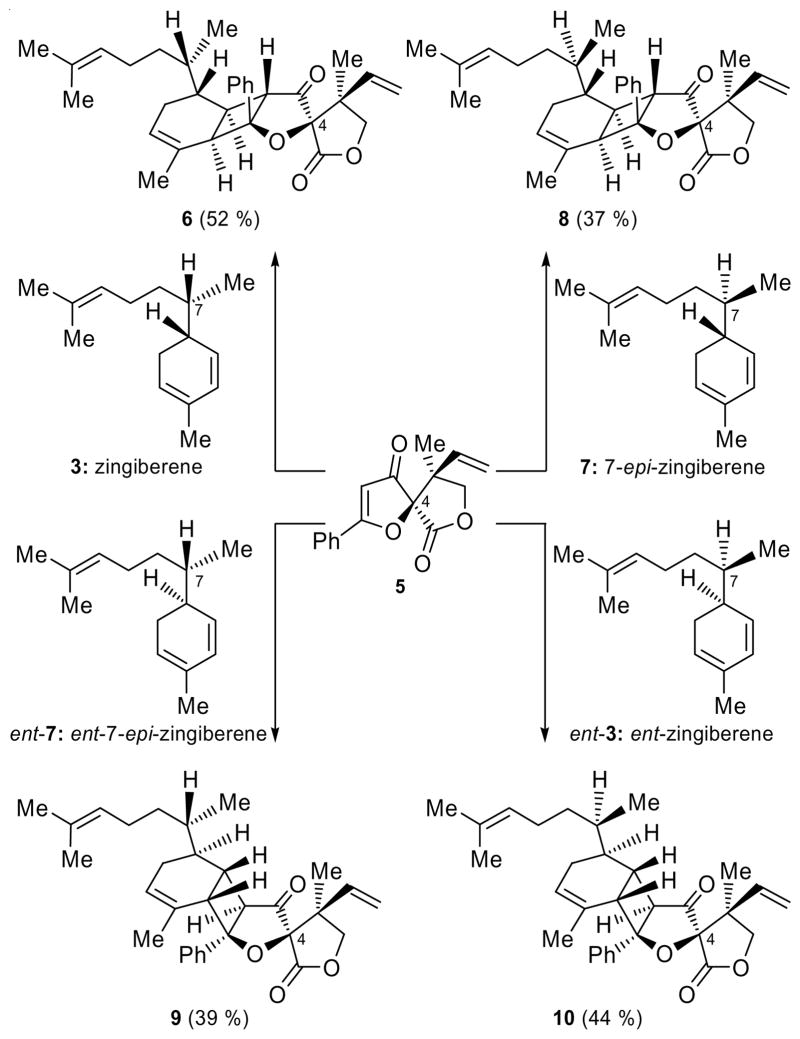 Scheme 2