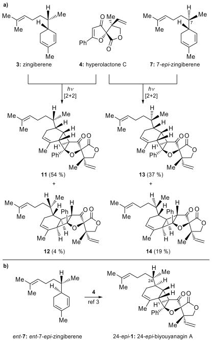 Scheme 3