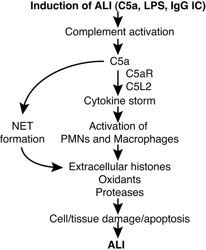 Figure 9.