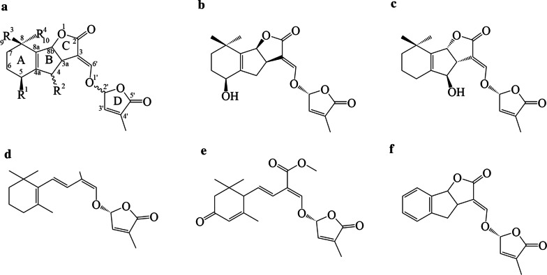 Fig. 1