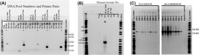 Figure 2.