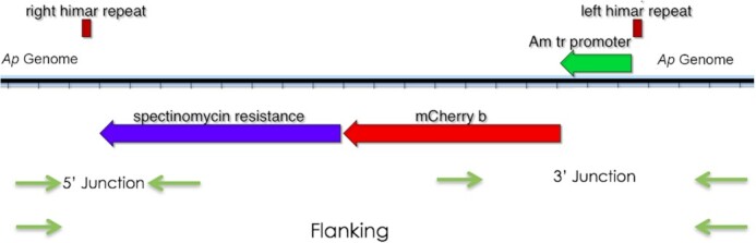 Figure 1.