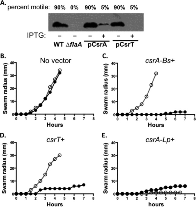 FIG 6