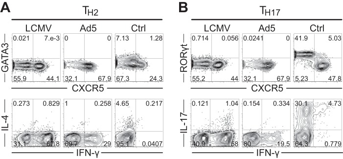 FIG 3