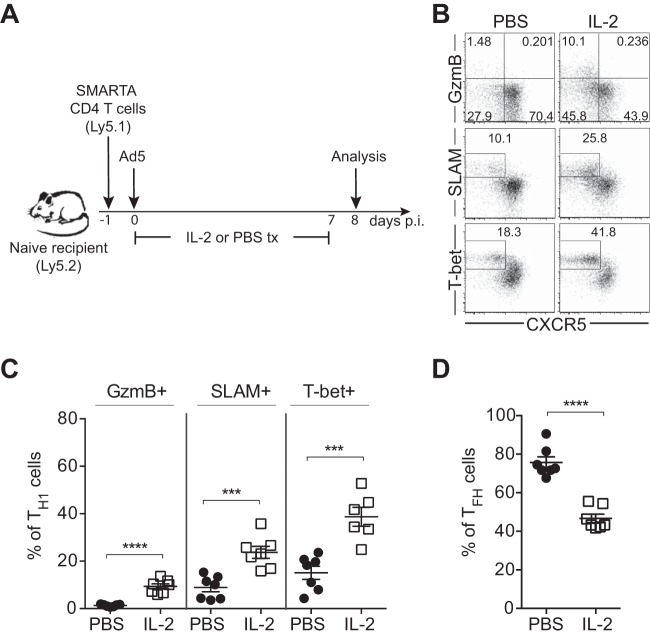 FIG 10