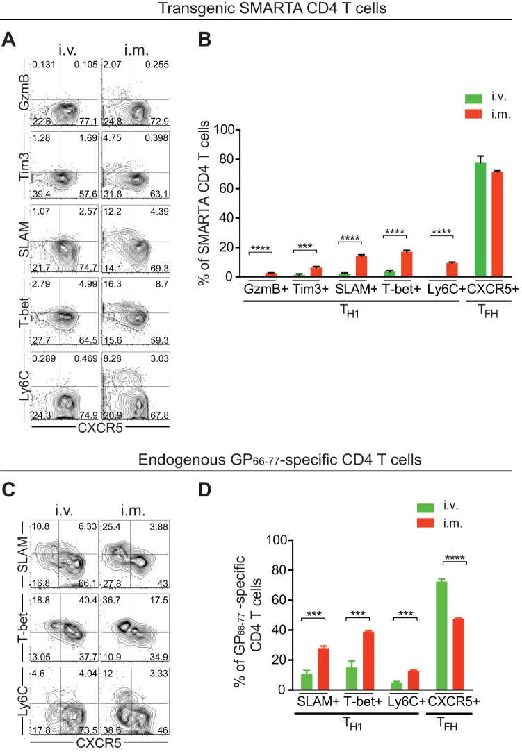 FIG 6