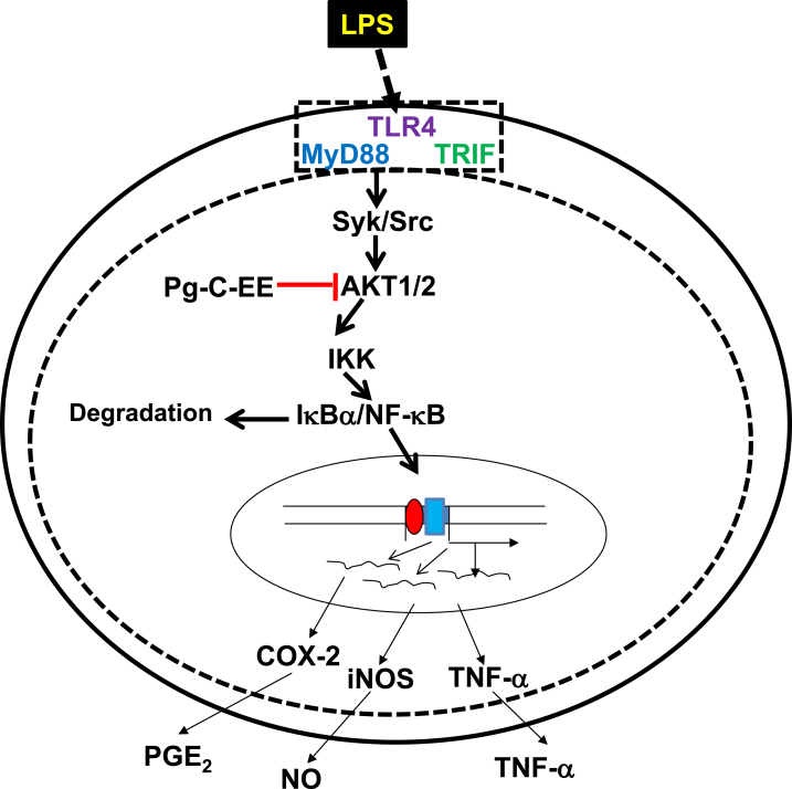 Fig. 4