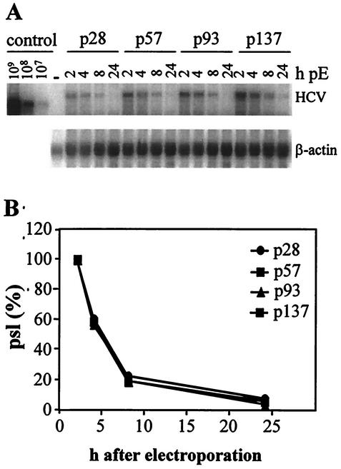 FIG. 7.