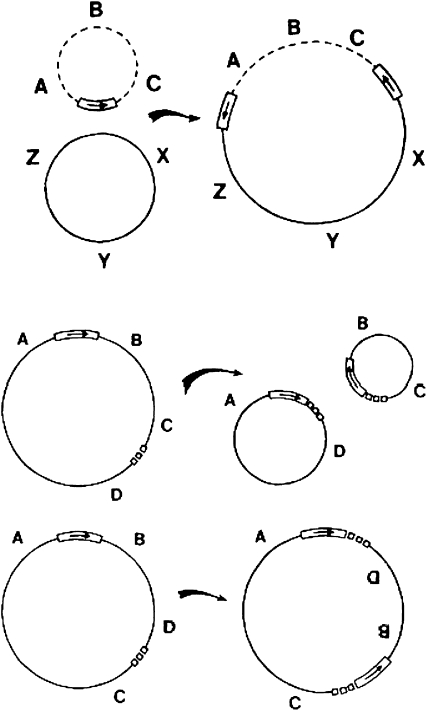 Figure 4.—