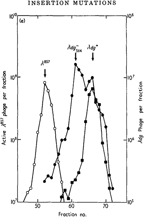 Figure 2.—