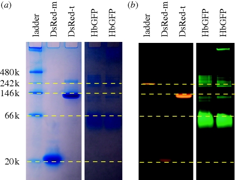 Figure 4.