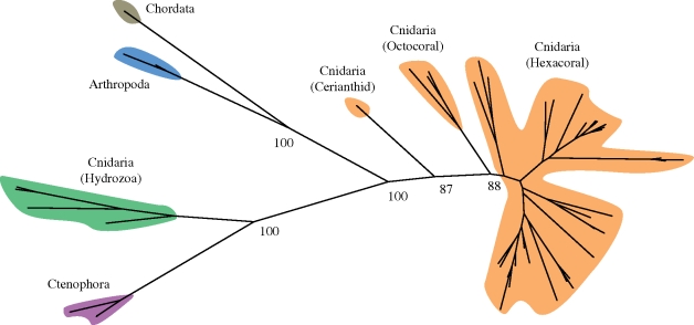 Figure 2.