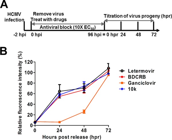 FIG 6