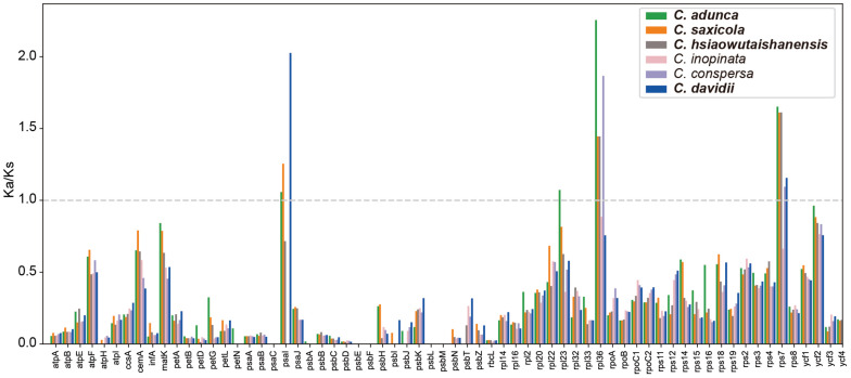 FIGURE 6