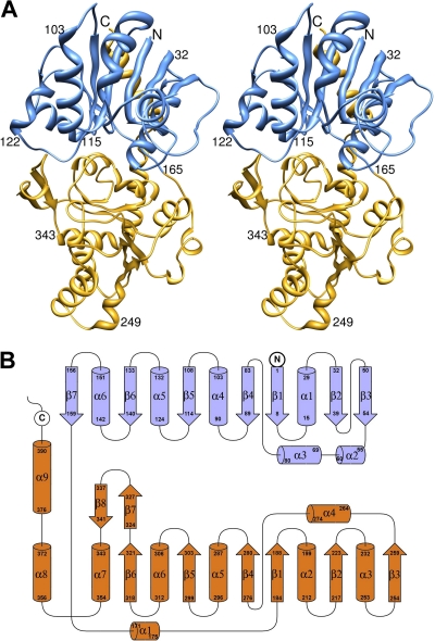 FIG. 2.