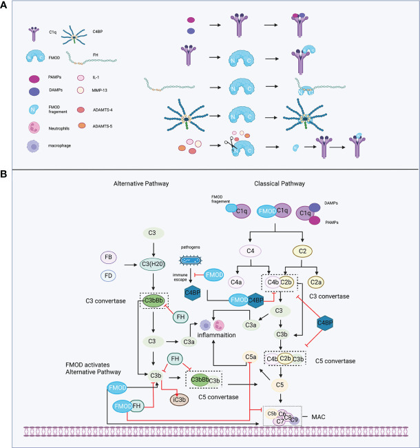 Figure 2