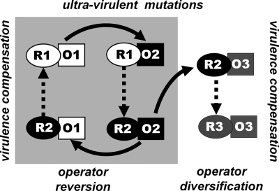 FIG. 2.