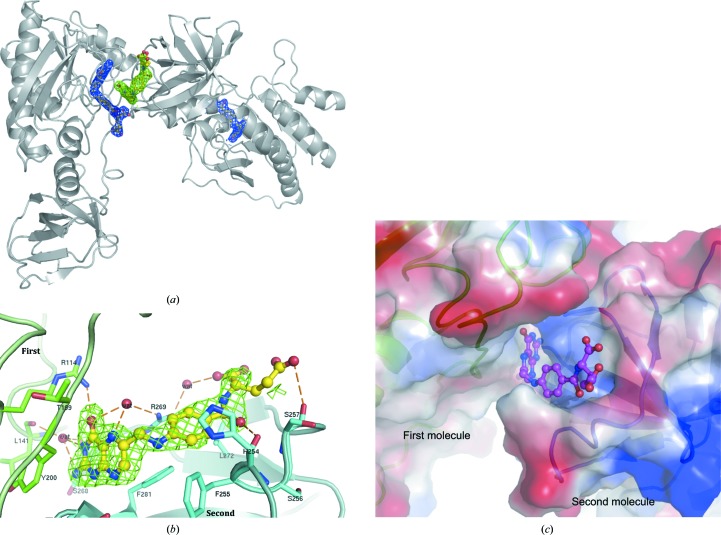 Figure 5