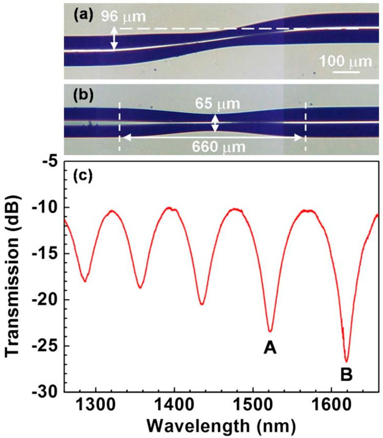 Figure 29