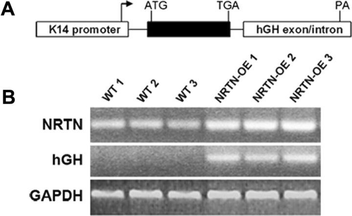 Figure 1.