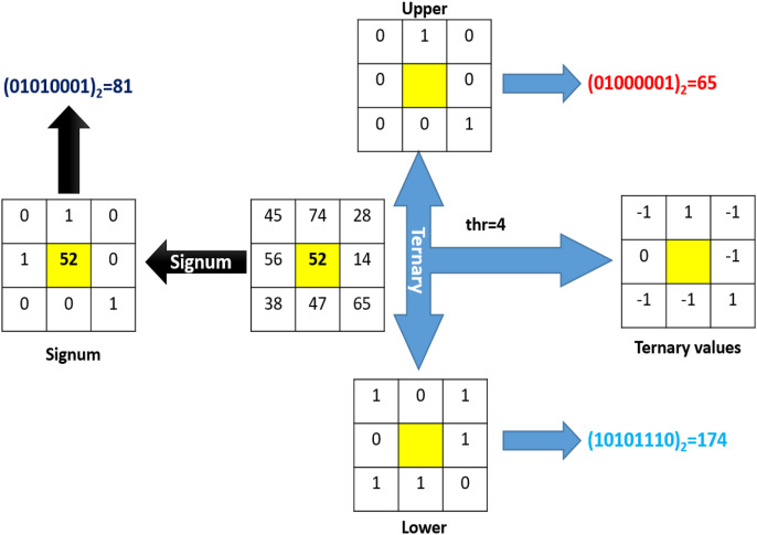 Fig. 2