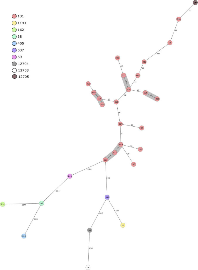 FIGURE 2