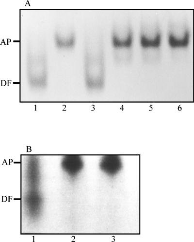 FIG. 4